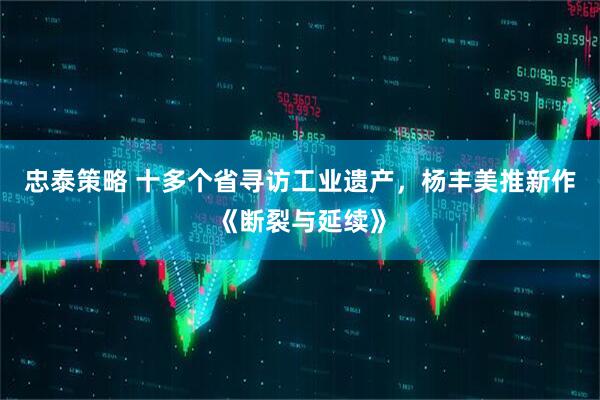 忠泰策略 十多个省寻访工业遗产，杨丰美推新作《断裂与延续》