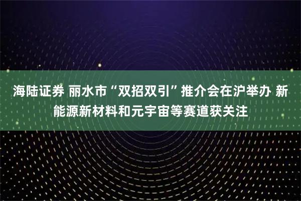 海陆证券 丽水市“双招双引”推介会在沪举办 新能源新材料和元宇宙等赛道获关注