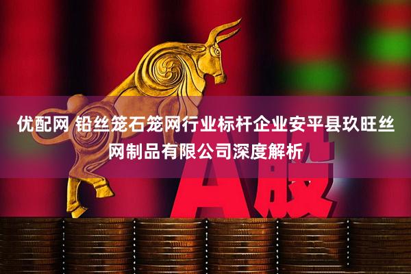 优配网 铅丝笼石笼网行业标杆企业安平县玖旺丝网制品有限公司深度解析