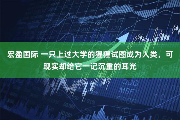 宏盈国际 一只上过大学的猩猩试图成为人类，可现实却给它一记沉重的耳光