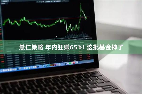慧仁策略 年内狂赚65%! 这批基金神了