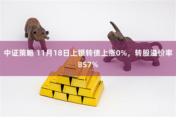 中证策略 11月18日上银转债上涨0%，转股溢价率857%