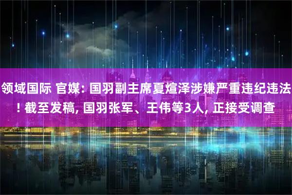 领域国际 官媒: 国羽副主席夏煊泽涉嫌严重违纪违法! 截至发稿, 国羽张军、王伟等3人, 正接受调查